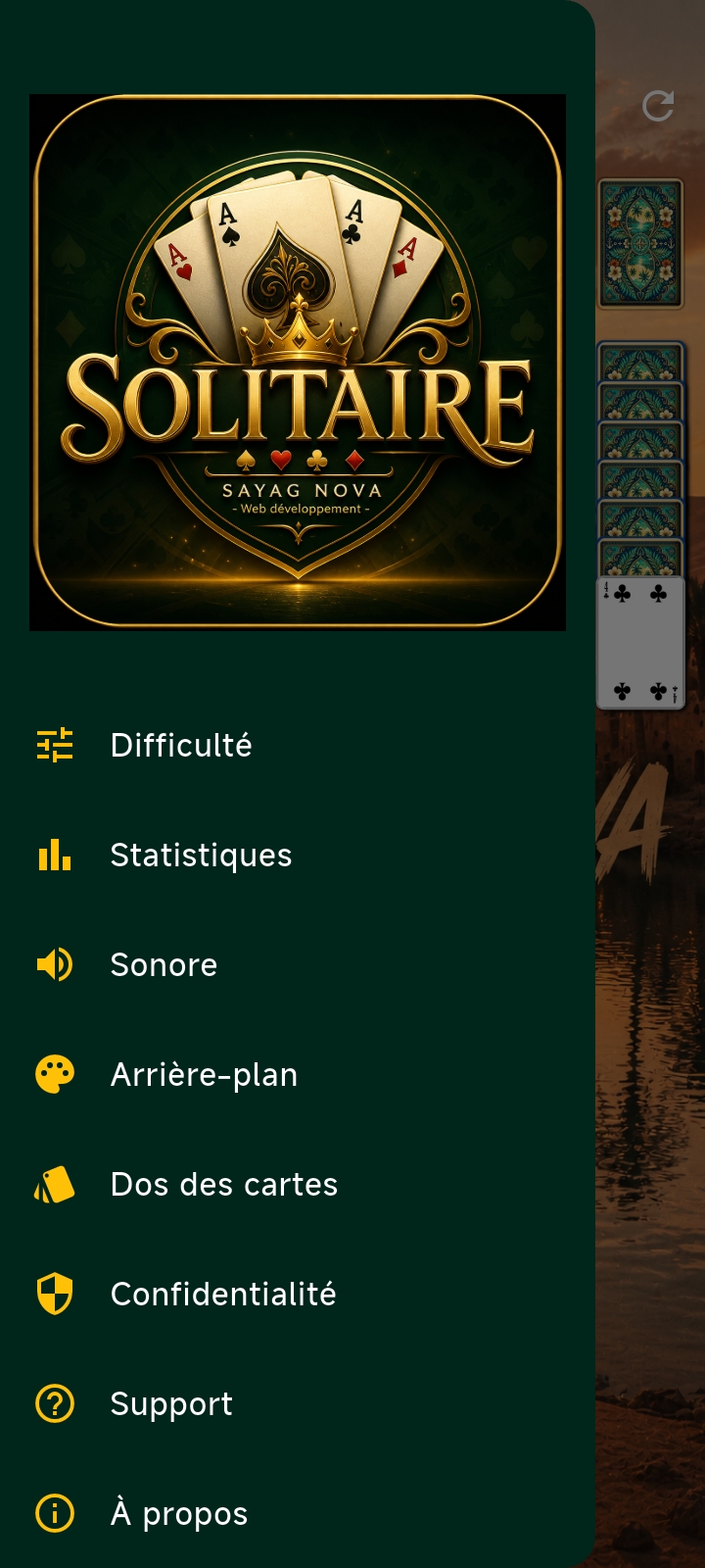 Aperçu 3